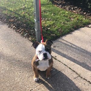 Meet your Posher, Marvin